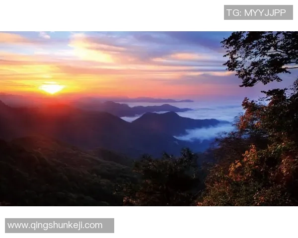 吴丽的攀岩人生:在高峰与深渊之间的深度对话与心灵探索 吴丽的攀岩人生:在高峰与深渊之间的深度对话与心灵探索