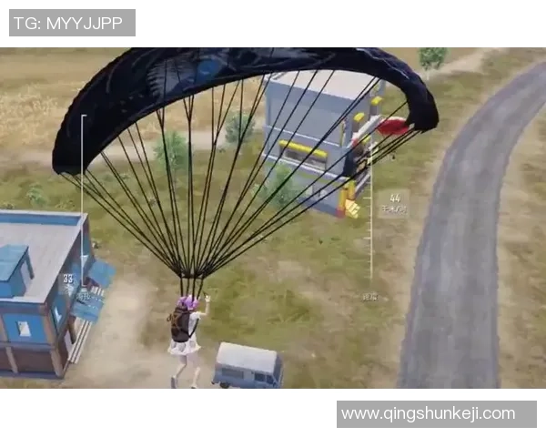 聚焦和平精英LNG战队现状分析与未来发展展望